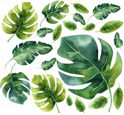  Monstera ostavlja zidne naljepnice 50x100cm