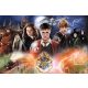  Puzzle Trefl Harry Potter 300 dijelova Puzzle 300 Misteriozni Harry Potter TREFL 23001