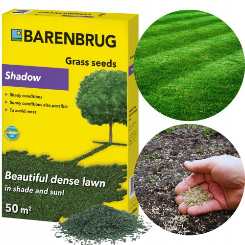  Barenbrug trava 50 m² 1 kg