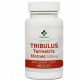  MedFuture Tribulus terrestris kapsule 60 kom.