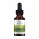  Swanson Health Products Ginkgo Biloba tekući ekstrakt ginko biloba 29,6 ml