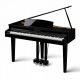  Kawai DG 30 gloss black - digitalni klavir