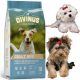  Divinus Adult mini za male pasmine 10 kg