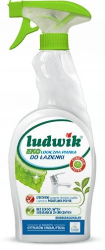  Ludwik pjena za čišćenje armature 0,75l