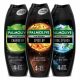  Palmolive Men Spice Up gel za tuširanje 500 ml