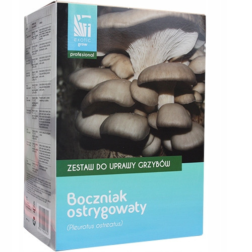  Set za uzgoj gljiva Planto, bukovača pleurotus Dobrzeatus