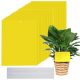  Sticky Veleprodaja Prima sticky potted yellow 10 kom.