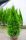  Thuja EMERALD Thuja Smaragd 180-200cm Najljepša DOSTAVA BESPLATNA