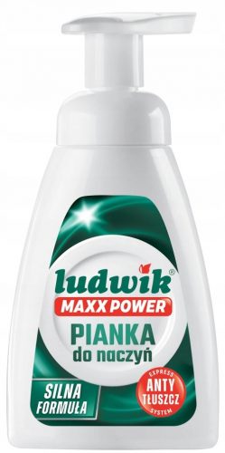  LUDWIK MAXX POWER KONCENTRIRANA PJENA ZA PRANJE SUĐA 300ML