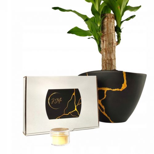  KINTSUGI Gold TECHNIQUE KIT ZA POPRAVAK KERAMIKE