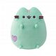  PUSHEEN MINT sa maskotom srca 19cm HAPPY