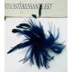  Fascinator glave BROŠ PIN Pokrivalo za glavu PERJE NAVY BLUE