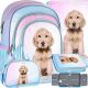  Školski ruksak s više odjeljaka DOG CUTIES Starpak Shades of blue, Shades of pink, Multicolor 23 l + 3 ostala proizvoda