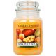  Tradicionalna parafinska svijeća Mango Yankee Candle 1 kom.