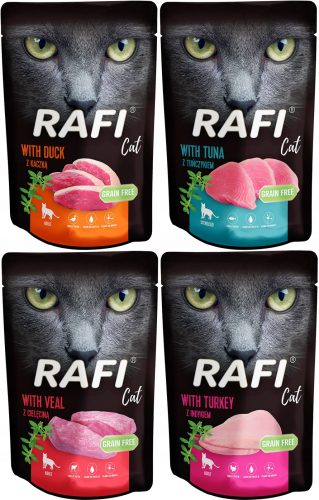  Dolina Noteci Rafi Cat 20x100g Mix of flavors vrećica