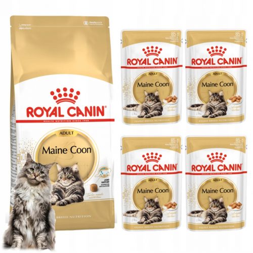  Royal Canin Maine Coon hrana za odrasle mačke suha 0,4 kg + mokra 4x85g