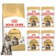  Royal Canin Maine Coon hrana za odrasle mačke suha 0,4 kg + mokra 4x85g