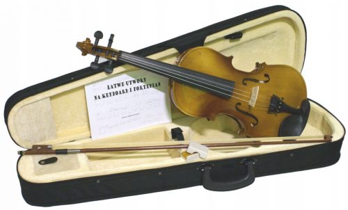  Echo violina, veličina 4/4