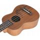  SOprano UKULELE MIX54 + SET OD 10 PRIBORA